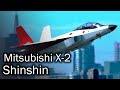 Mitsubishi X-2 Shinshin - японский истребитель 5 поколения