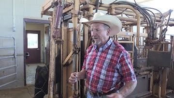 Bruce Carpenter - Cattle Reproduction - Administering Prostaglandin