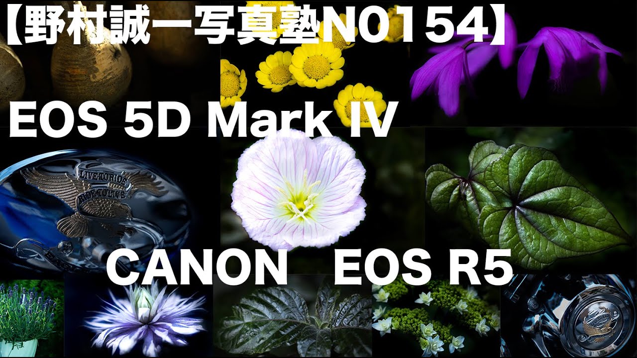 野村誠一写真塾No154】オールドレンズについて、CANON EOS R5とCANON