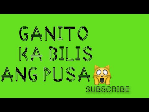 Video: Kung Paano Gumalaw Ang Mga Pusa