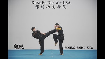 Kung Fu Dragon USA Online Tutorial: ROUNDHOUSE KICK /BIAN TUI  /鞭腿