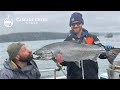 Alaska king salmon fishing trips  cascade creek lodge