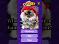 James Franco’s Cat Sammy | The Himalayan Star of Art & Fame! | Celebrity Cat Quiz