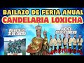 Video de Candelaria Loxicha