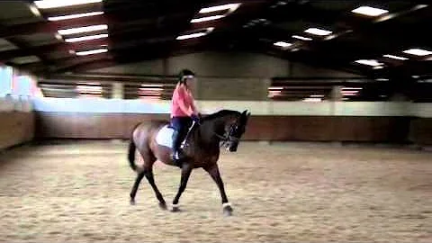 Ruby Hobbs, riding other horses