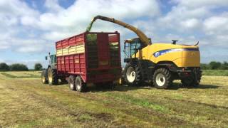 Ryans 2015 - Silage, slurry, reseeding