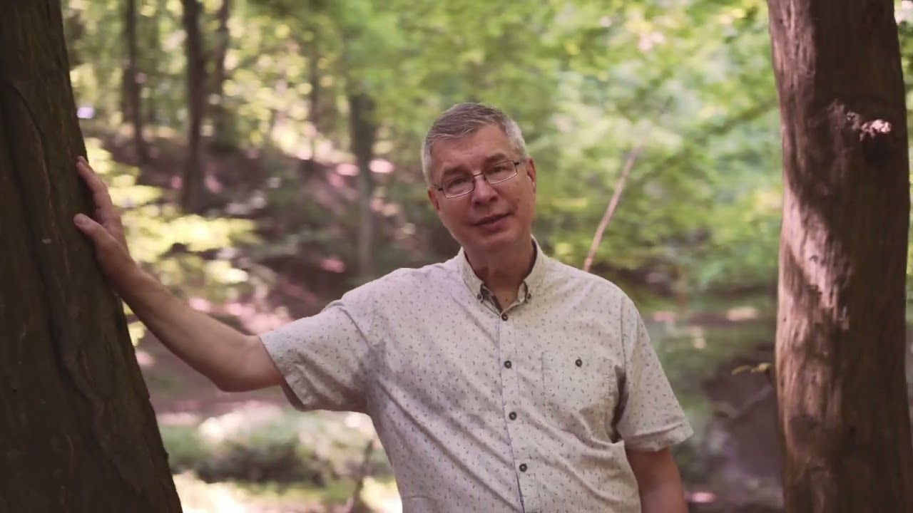 Paweł Piotrowski - Panience na dobranoc tekst piosenki - Teksciory.pl