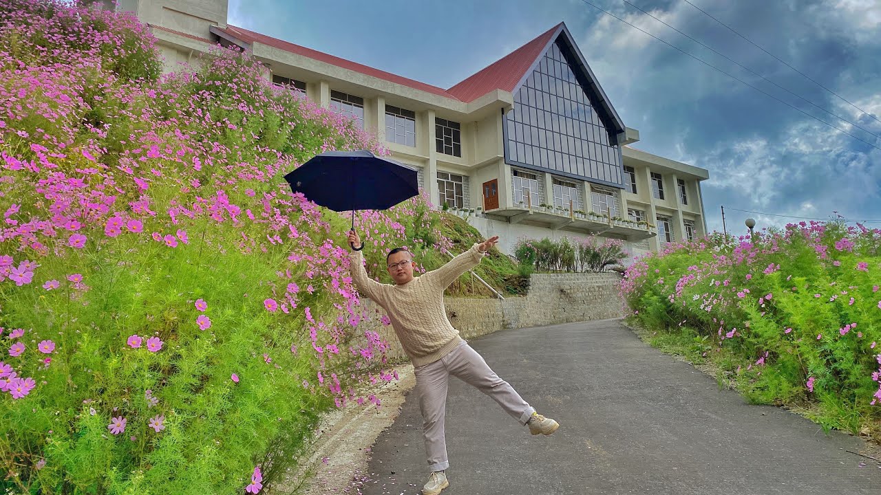 My Village Tour | Pfütseromi Village | Nagaland | Cosmos Season