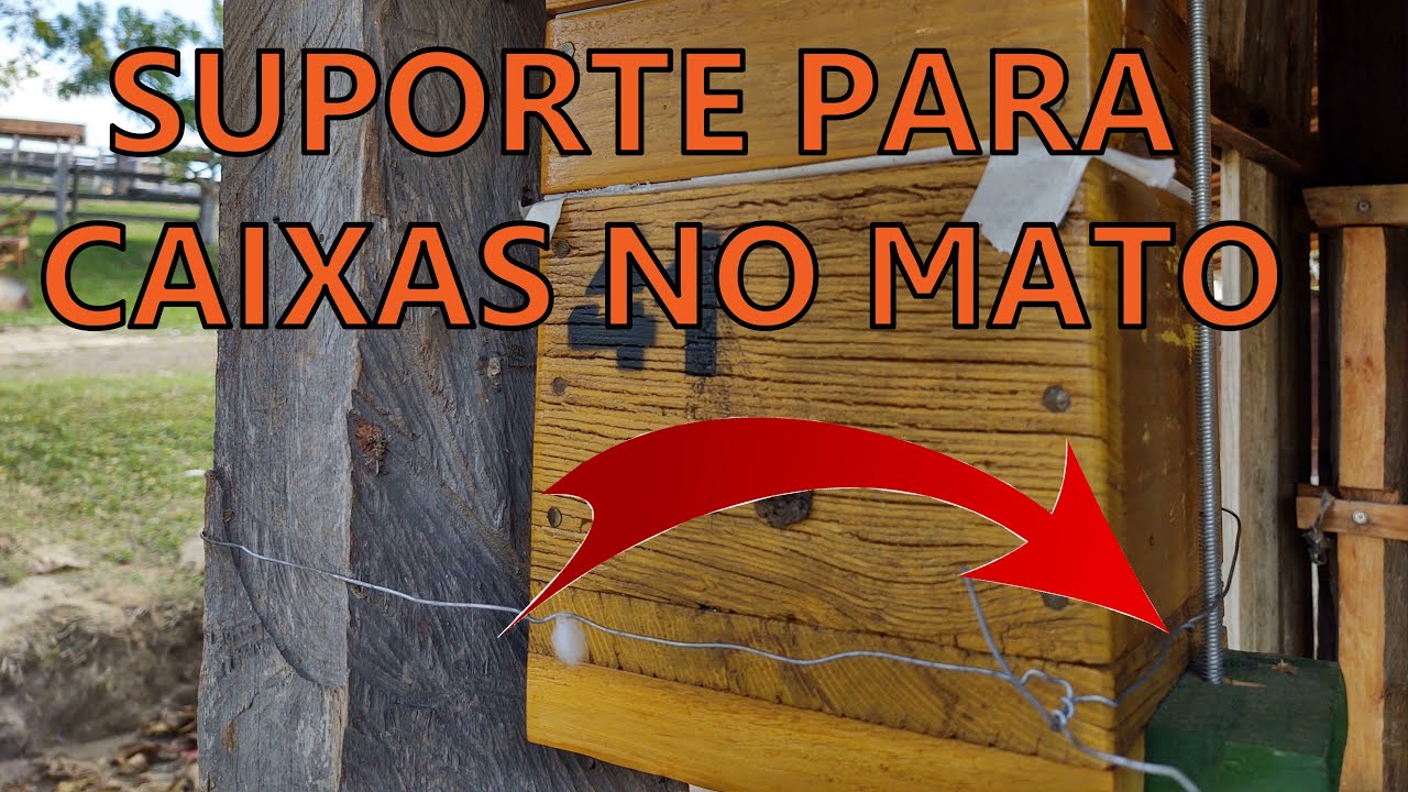 SUPORTE PARA CAIXAS DE JATAÍ