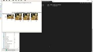 Bilinear Interpolation of a Colored Image using PyCUDA