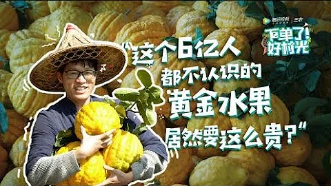 《下單了！好村光》 EP03 超奇葩！稀奇水果大探險 農村小伙試吃雲南特產香櫞果 - 天天要聞