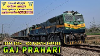GAJ PRAHARI | SGUJ WDP 4D #40436 | 12377 Padatik Express Cruising Towards Ambari Falakata | NFR