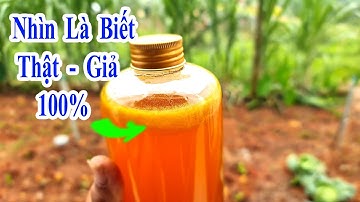 bạn sẽ không còn bị lừa mua mật ong giả nếu biết được mẹo này, cách phân biệt mật ong rừng tự nhiên