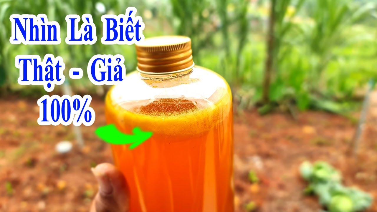 bạn sẽ không còn bị lừa mua mật ong giả nếu biết được mẹo này, cách phân biệt mật ong rừng tự nhiên