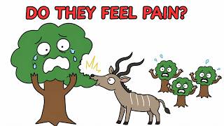 What Happens When A Tree Gets Hurt?