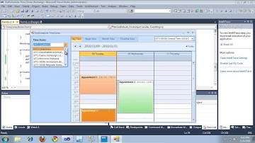 Using Time Zones in RadScheduler for WinForms