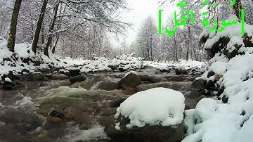 سُورَةُ النَّمۡلِ بصوت الشيخ عبد الرحمن بن موسى رواية ورش عن نافع تجويد رائع