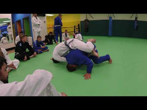 How to do a Belly-Down Armbar from Turtle