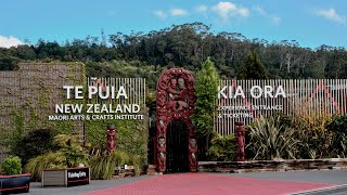 Dancing With Legends:  Exploring Māori Culture