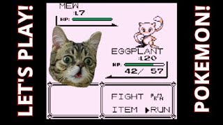 Not Today Team Rocket! Lets Play Pokemon Red Old School Gaming! #13
All Super Chat Donations Are Appreciated Greatly! Join Carl and I as we play the game that started my love for pokemon! Lets play pokemon red together and remember all the good times from way back in the day. If you are new then Subscribe for more videos and livestreams! Any donation is greatly appreciated!
Keep The Channel Going!: https://teespring.com/stores/carl-nation-store
For fan mail or business contact me : Gottapullthemall@gmail.com
Twitter : https://twitter.com/gottapullemall
Follow My Personal Instagram : https://www.instagram.com/tigolwilly
Snapchat : Gottapullemall Not Today Team Rocket! Lets Play Pokemon Red Old School Gaming! #13