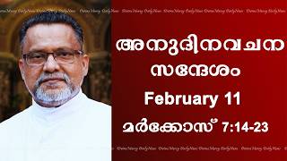 Holy M Reading And Reflections I February 11 I Wednesday I Homily I Mark 714-23