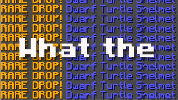 I think I found a bug. Hypixel Skyblock