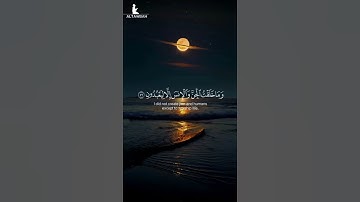 وذكر فإن الذكرى تنفع المؤمنين | تلاوة هادئة ومريحة 😴🤎 القارئ فارس عباد#راحة نفسية