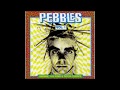 Pebblesvol1 original 60s punk  psych full album