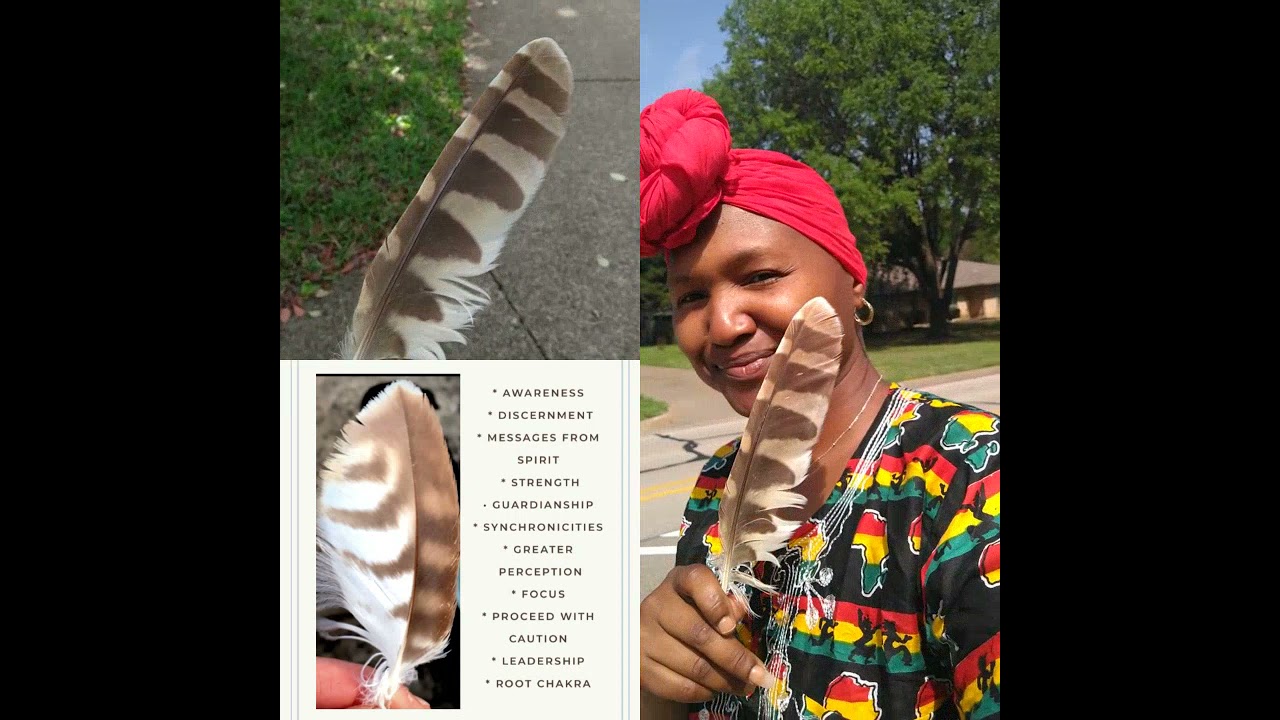 Hawk Feather appeared