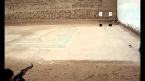 nippon target system