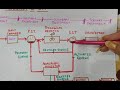 Flow sheet of Sewage Treatment Plant/Flow Diagram of Wastewater Treatment Plant