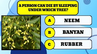 Can u guess the right answer?