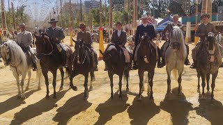 amazing Feria de Jerez with horses