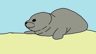 Sea Lion Rotoscope