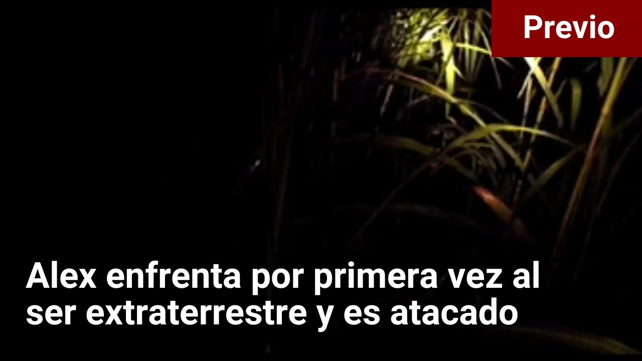 Previo | Alex es ATACADO y RETA a que desmientan sus videos | TS - Parte 2