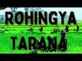 Rohingya song rohingya tarana rohingya new song rohingya new tarana by shamim arakani