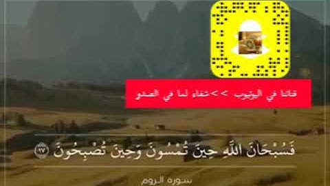 تلاوه حالة واتساب بصوت عبدالله الموسى