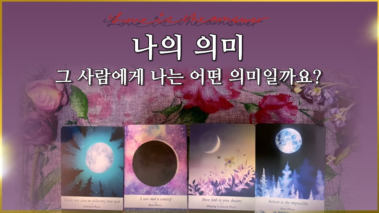 𝐓𝐀𝐑𝐎𝐓 ] 나는 당신에게 어떤 의미인가요? 나를 만나기 전, 후를 나눠 물어 보았습니다🔮