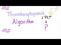 Thrombocytopenia Evaluation Algorithm