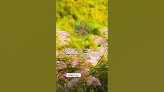 Sudahkan Anda Berinfak? Ust. Hanan Attakih