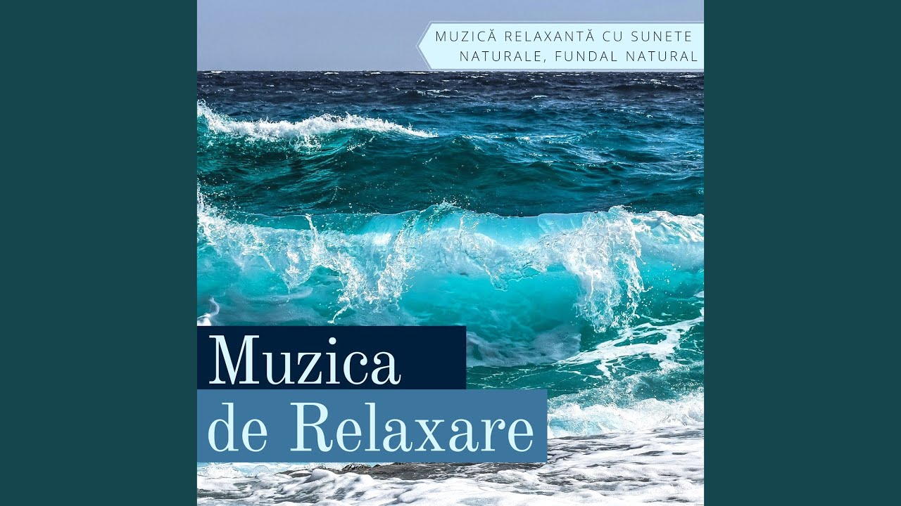 Muzica de Meditatie - YouTube