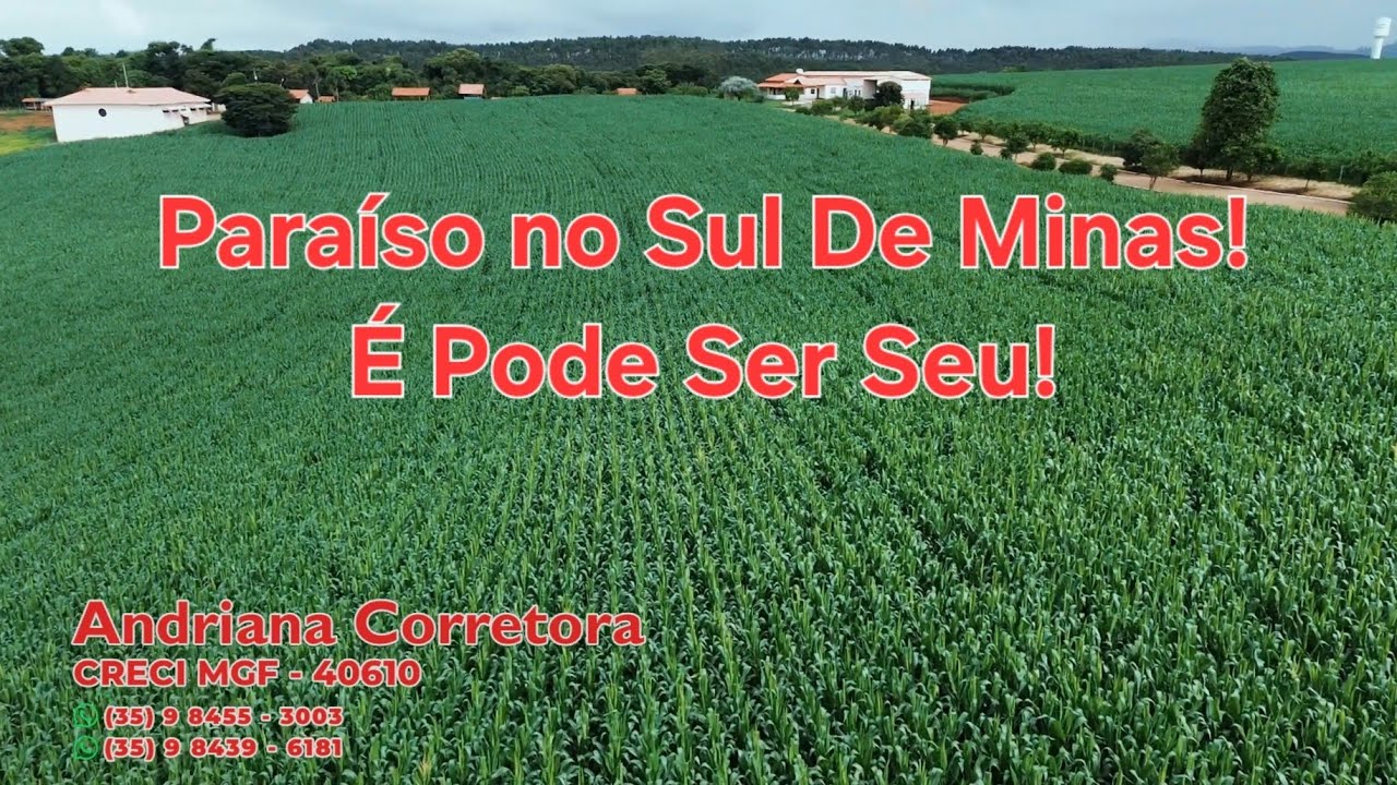 Paraíso no Sul de Minas, Pode Ser Seu! Fazenda Automatizada  no Sul de Minas produzindo