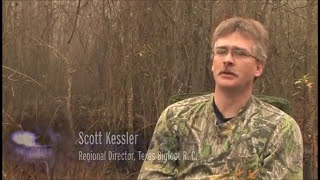 Squatch Stories: The Bayou Booger