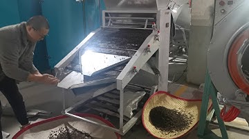 Electrostatic Tea Stalk Picker Sorting Machine Tea Machinert Stalks Pic