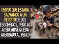 El Niño Pensó Que Estaba Salvando a Un Perrito De Los Escombros Pero Al Acercarse Queda Aterrad0..