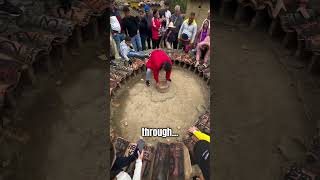 Rabbit Roulette is No Joke 🐇(@tonyduque3)