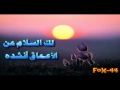 نشيد وداعا مايا أبو ريان