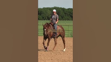 5 Minute Warm Up Routine for Responsive and Soft Barrel Horses