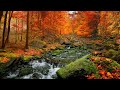 Relaxing Nature Sounds, ASMR