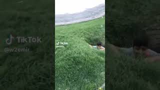 Ben Kedi Değilim Goril Faruk Çaldım Bu Arada